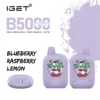 Blueberry Raspberry Lemon – IGET B5000