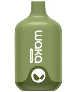 Green bottle with "Waka Smash Cherry Lime Disposable Vape (6000 Puffs)" label.